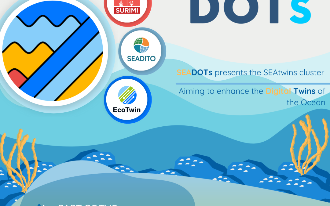 SEAtwins Cluster: Advancing Socio-Ecological Digital Twins of the Ocean